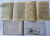 Boston Massachusetts picture story maps c.1940’s Paul Revere's ride 1775 cartoon