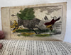 Story of Two Bulls 1856 rare Daniel Burgess hand color children’s picture book