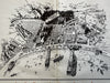 Catalina island California cartoon map c.1933 scarce tourist brochures steamship