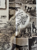 Greyhound Bus Pictorial photo map USA America c.1946 scarce tourist brochure