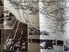 Greyhound Bus Pictorial photo map USA America c.1946 scarce tourist brochure