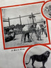 El Monte California Gay’s Lion Farm c.1925 near LA rare pocket brochure movies