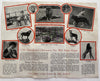 El Monte California Gay’s Lion Farm c.1925 near LA rare pocket brochure movies