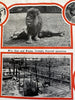 El Monte California Gay’s Lion Farm c.1925 near LA rare pocket brochure movies