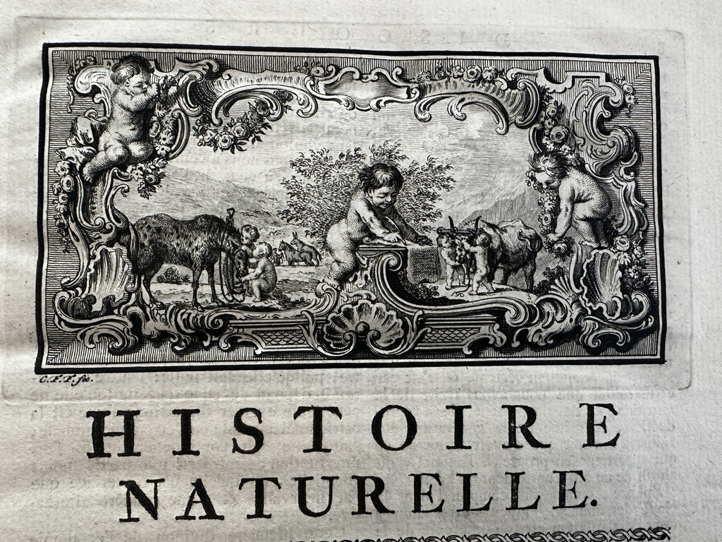 Natural History 1766 rare Dutch Book engraved plates Amsterdam Buffon Schneider