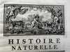 Natural History 1766 rare Dutch Book engraved plates Amsterdam Buffon Schneider