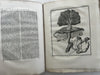 Natural History 1766 rare Dutch Book engraved plates Amsterdam Buffon Schneider