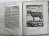 Natural History 1766 rare Dutch Book engraved plates Amsterdam Buffon Schneider