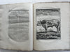 Natural History 1766 rare Dutch Book engraved plates Amsterdam Buffon Schneider