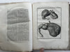 Natural History 1766 rare Dutch Book engraved plates Amsterdam Buffon Schneider