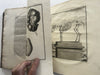 Natural History 1766 rare Dutch Book engraved plates Amsterdam Buffon Schneider