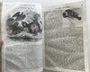 Natural History Family Magazine 1840 rare book 100’s wood engravings Virginia