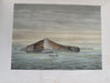 Dutch East Indies Batavia 1888 w/57 color litho plates rare book Perelaer