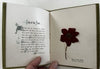 Holy Land pressed flowers book 1903 w/ 12 actual dried flowers Lowell Mass