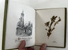 Holy Land pressed flowers book 1903 w/ 12 actual dried flowers Lowell Mass
