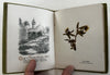 Holy Land pressed flowers book 1903 w/ 12 actual dried flowers Lowell Mass