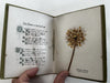Holy Land pressed flowers book 1903 w/ 12 actual dried flowers Lowell Mass