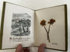 Holy Land pressed flowers book 1903 w/ 12 actual dried flowers Lowell Mass