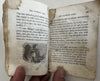 Spring Flowers Botanical Hepatica 1848 Cincinnati rare juvenile book wood cuts