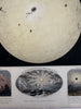 Sun Solar Phenomena planetary views c.1850’s Reynolds hand colored rare print