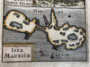 Staten Island Argentina Mauritius 1683 Mallet charming engraved hand color map