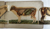 Movable Book Sheep c.1880-90’s color lithographed flaps anatomy Veterinary arts