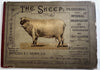 Movable Book Sheep c.1880-90’s color lithographed flaps anatomy Veterinary arts