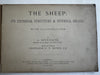 Movable Book Sheep c.1880-90’s color lithographed flaps anatomy Veterinary arts
