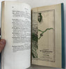 Mt. Kilimanjaro Africa Expedition Johnston 1885 Royal Geog. mag w/ rare map