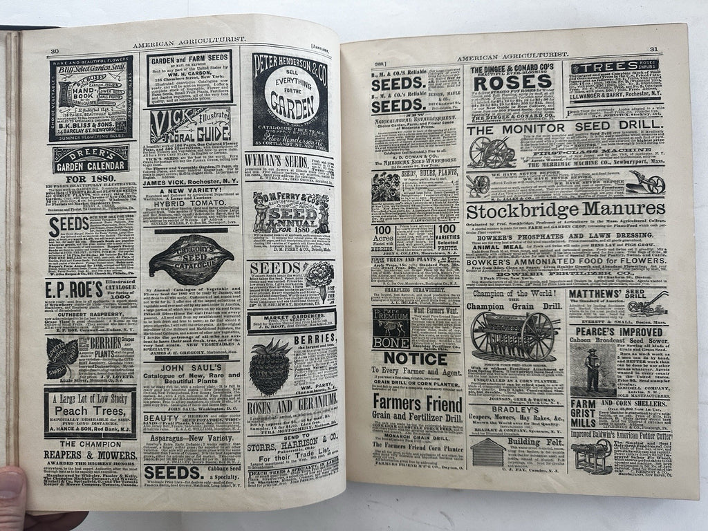American Agriculturist Garden 1880 book12 issues wood engravings prize catalogue