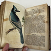 Natural History 1828 Phila Birds Fish Reptiles Insects 12 color plates rare book