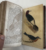 Natural History 1828 Phila Birds Fish Reptiles Insects 12 color plates rare book