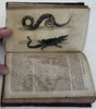 Natural History 1828 Phila Birds Fish Reptiles Insects 12 color plates rare book