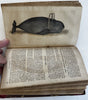 Natural History 1828 Phila Birds Fish Reptiles Insects 12 color plates rare book