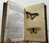 Natural History 1828 Phila Birds Fish Reptiles Insects 12 color plates rare book