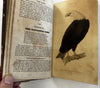 Natural History 1828 Phila Birds Fish Reptiles Insects 12 color plates rare book