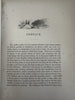 James Fenimore Cooper 1861 Pages & Pictures stunning leather gift book engvngs