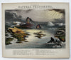Natural Phenomena sky land volcanoes water 1852 Reynolds hand colored rare print