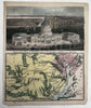 US Capitol Washington DC birds-eye view 1850’s Magnus hand color letter sheet