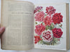 Horticulture Review 1928 French Journal 24 lovely color plates flowers & fruits