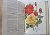 Horticulture Review 1928 French Journal 24 lovely color plates flowers & fruits