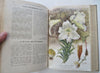 Horticulture Review 1928 French Journal 24 lovely color plates flowers & fruits