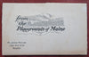 Maine Rangeleys Salmon Pool Upper Dam c. 1920's orig. painting view souvenir