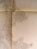 Chesapeake Bay Head to Potomac River Virginia 1862 U.S.C.S. old nautical chart