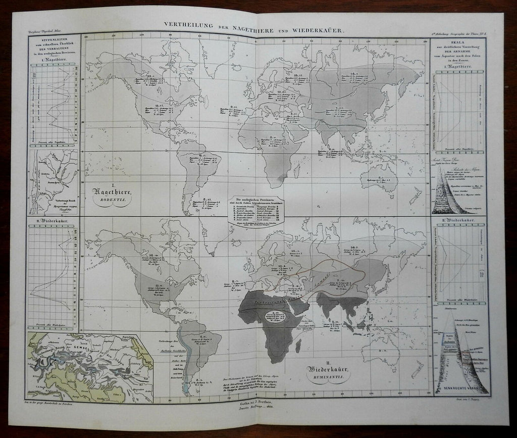 Rodents and Ruminating Mammals of the World Cattle Sheep Goats 1851 Berghaus map