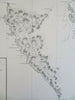 Queen Charlotte's Island New Hanover 1903 Hoen Edwards Historical Map