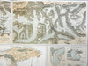 Glacial Systems of the Alps Glacier Phenomena 1856 Johnston scientific folio map