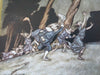 Arthur Rackham c. 1920's Fantasy Art Prints Gnomes Women Lot x 12