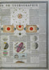 Astronomy Eclipses Lunar Phases c. 1830's Brue large detailed print hand color