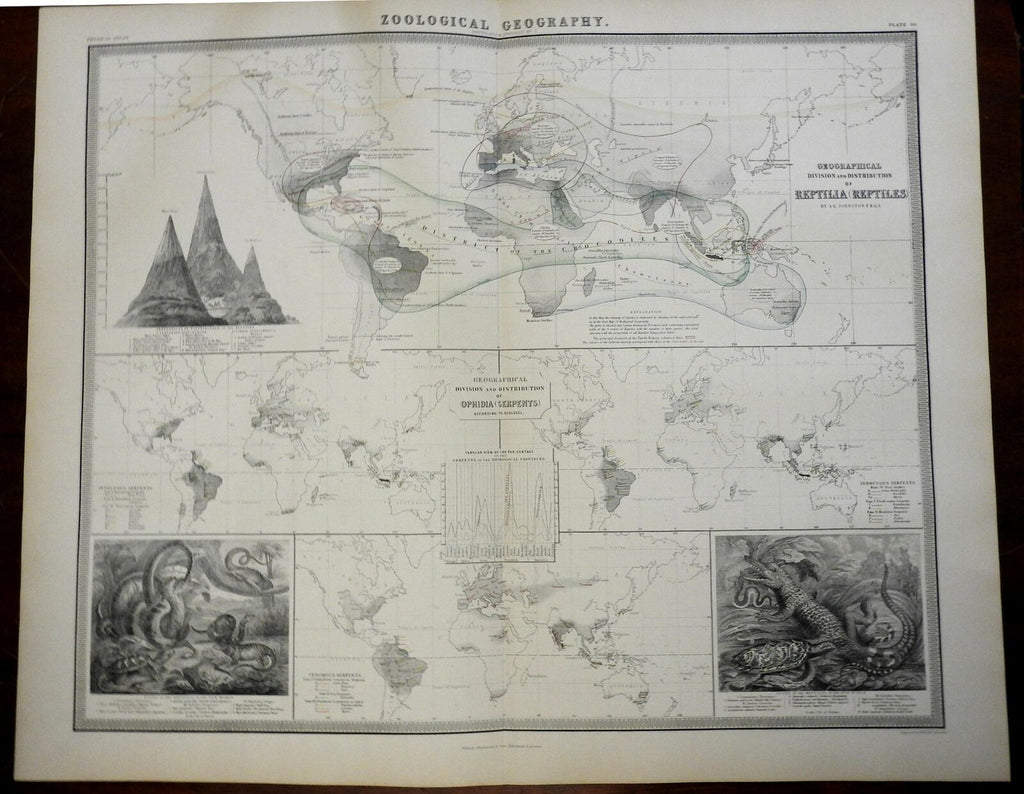 Reptiles of the World Snakes Turtles Lizards World Map 1856 Blackwood map